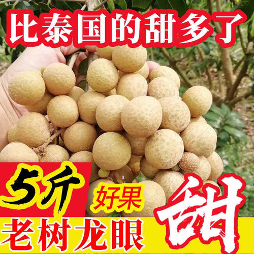 正宗广东茂名石硖龙眼新鲜非储良精选孕妇当季桂圆纯甜