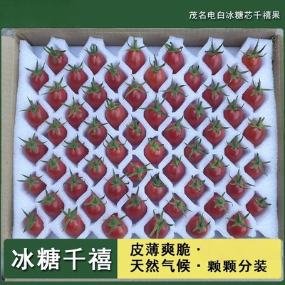 广东正宗电白冰糖心千禧果圣女果小番茄孕妇新鲜现发富含维生素
