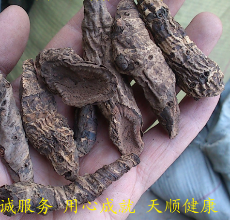 盘龙七 1千克45 天顺健康 正品 盘龙七