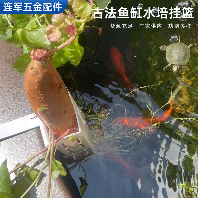 厂家壁挂式水培红薯篮水培定植篮造景装饰配件鱼缸水培挂篮