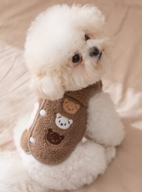 宠物衣服三只小熊绒衣马甲秋冬加绒狗狗衣服小犬比熊泰迪两脚背心