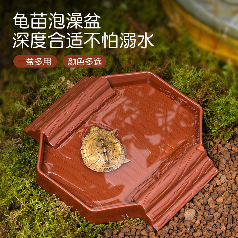 黄缘乌龟小号泡澡盆半水龟爬虫幼龟洗澡盆水食两用爬宠饲养箱造景