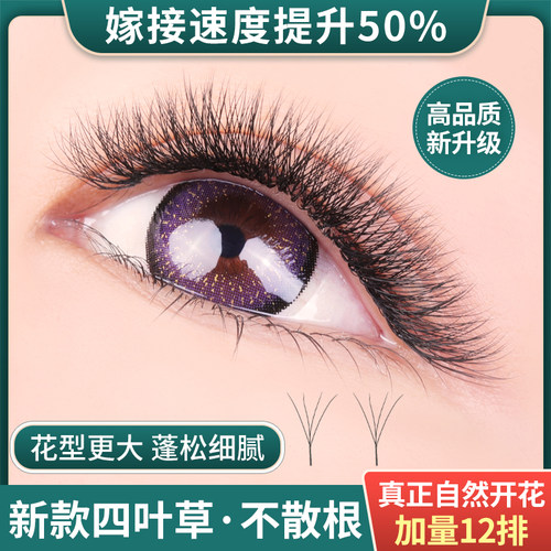 四叶草一秒开花0.05Y型