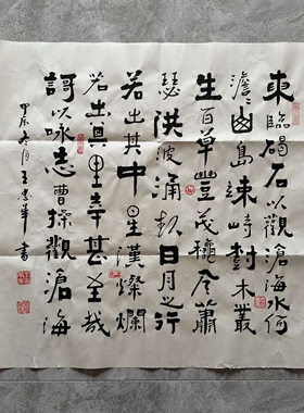 观沧海 王忠华手写个性创意书法办公室客厅茶室书房装饰字画