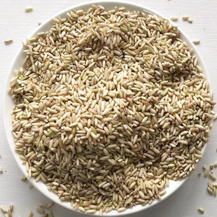 广东糙糯米做酒原料酿酒黄酒米新鲜农家月子甜酒梅州客家特产