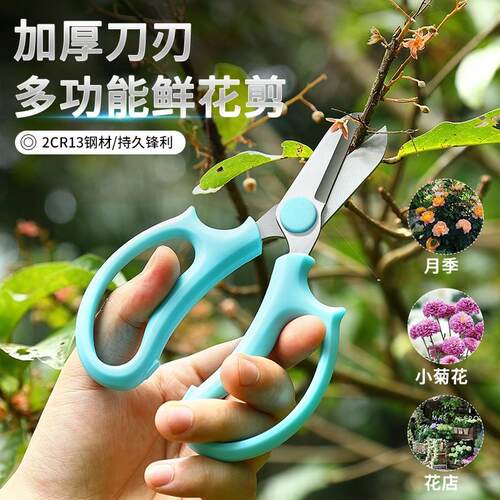 花艺剪刀不锈钢修枝剪专用