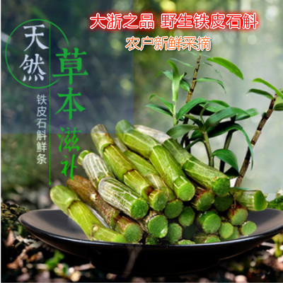 浙江天台山铁皮石斛鲜条三年铁皮石斛500g新鲜铁皮滋补枫斗