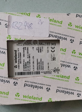 Stoerk ST70-31.10温控器 08362=A=2000电极