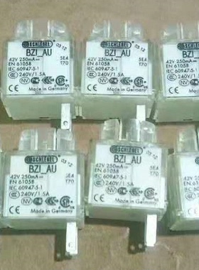 SCHLEGEL BZI-AU 开关 EN61058 IEC60947-5-1现货