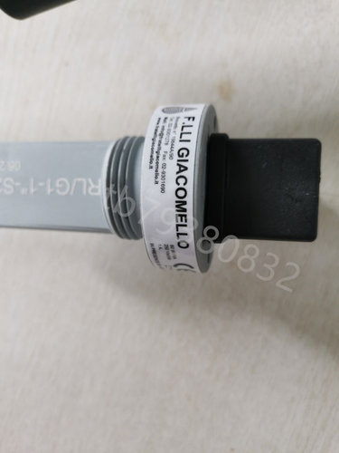 FLENDER 2LC0102-3WA00-0AA0联轴器 - 封面