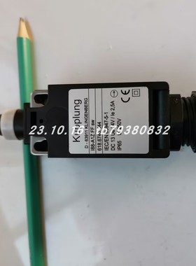 原厂1435000Z10001-0流量计