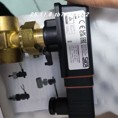 SIKA流量开关VHS20M01171I41