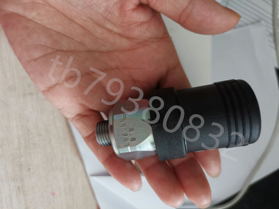 SAUTER压力开关DSF152F001