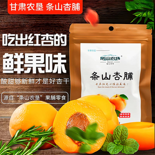 条山杏脯100g/袋酸甜可口甘肃白银景泰特产果脯蜜饯无核果脯