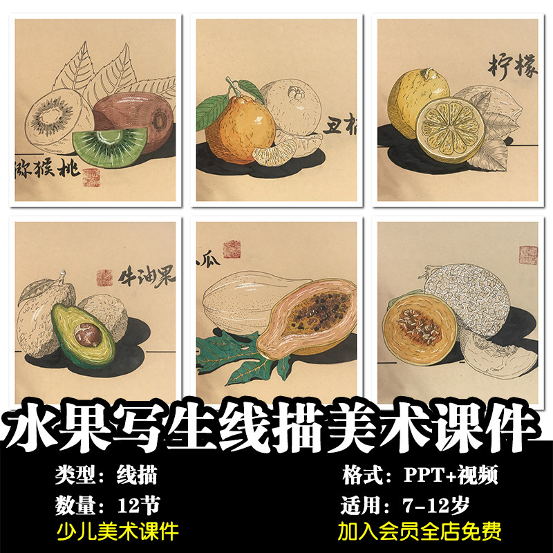 少儿美术zz线描水果专栏线描写生12节ppt 视频讲解课件范画素材