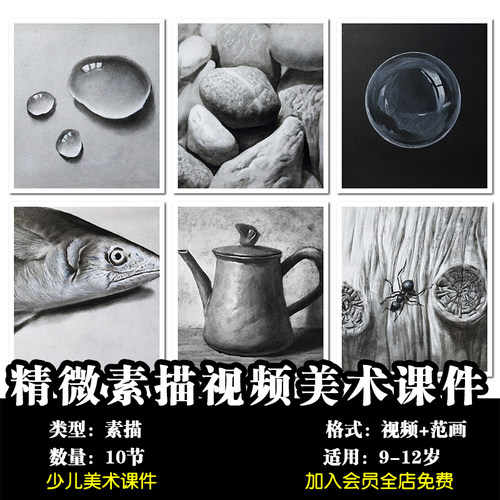 超写实精微素描视频美术课件电子版高清人物动物彩铅素描范画临摹