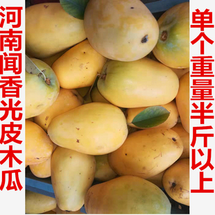 新鲜闻香木瓜 酸木瓜 宣木瓜 北方笨木瓜 青木瓜泡酒炖汤