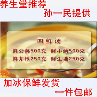 新鲜四鲜汤 食材蒲公英 白茅根 生地 小蓟可加芦根藕节六鲜汤