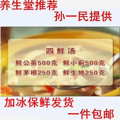 中药材蒲公英新鲜食材白茅根