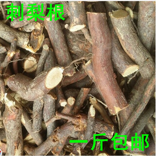 野刺梨树根正品刺梨根 刺梨子根另有板栗树根山楂树根酸枣树根