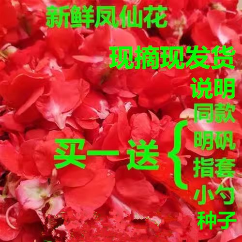 新鲜指甲花凤仙花花瓣干花粉染发