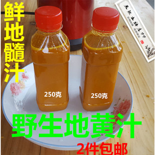 新鲜地黄汁鲜地黄纯汁地髓汁生地汁小地黄根原汁四鲜汤食材