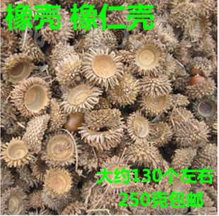 橡壳橡碗橡子橡果橡果壳板栗壳栗子橡子壳橡果帽植物染料装饰材料