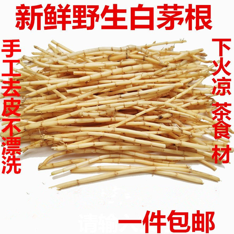 新鲜白茅根茅芽茅针湿茅草根现挖丝茅根另有竹蔗芦根天然泡水凉茶