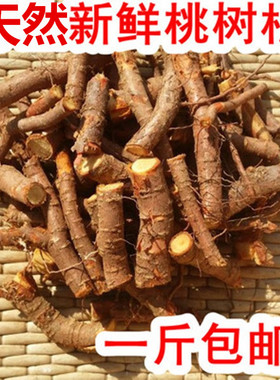 天然野桃树根粗根切片 桃子根 毛桃根山桃根皮细根截段