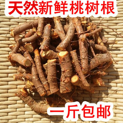 天然野桃树根粗根切片 桃子根 毛桃根山桃根皮细根截段
