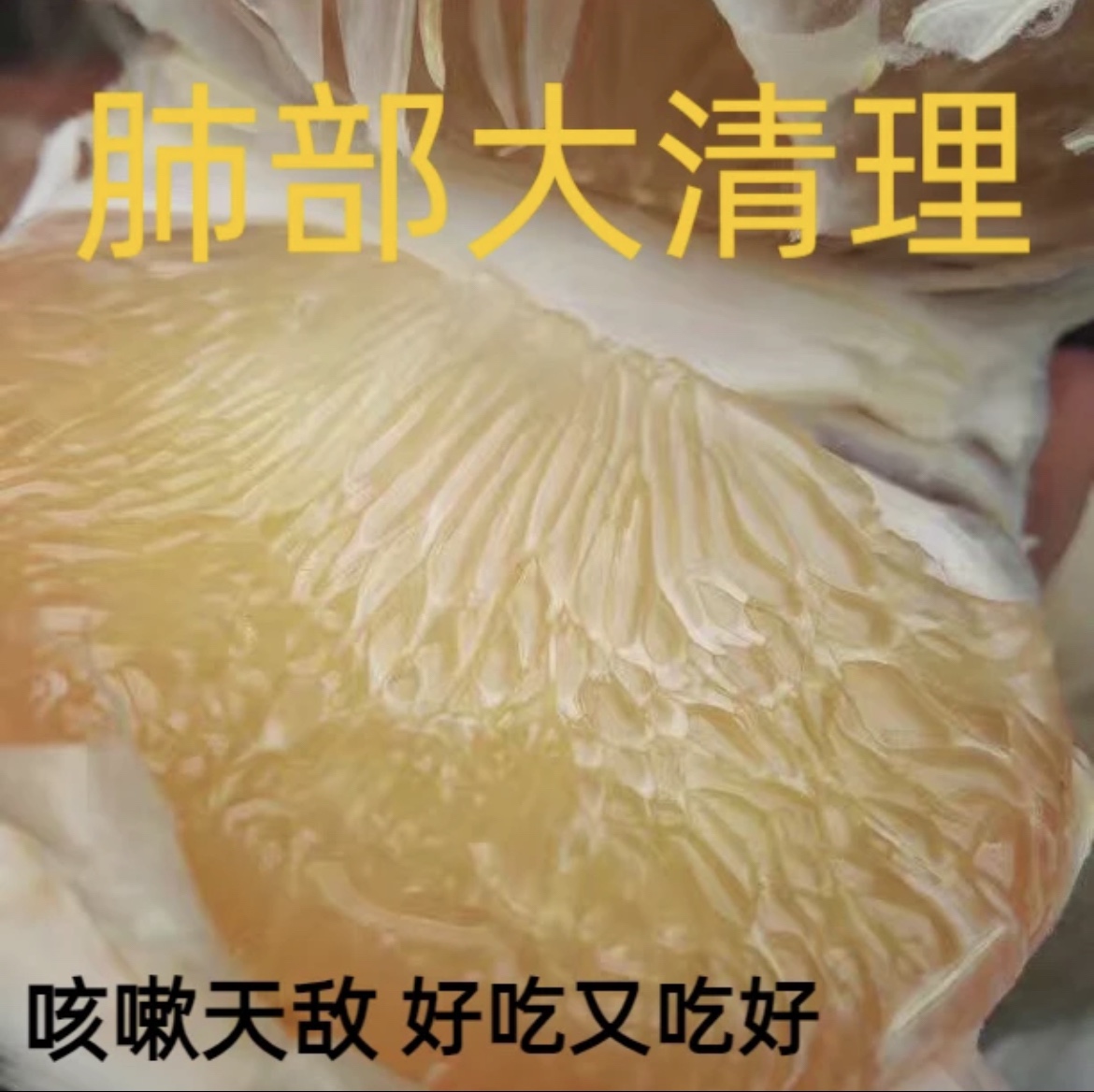 马站中魁老树四季柚子20斤含箱礼盒（边远地区不发）