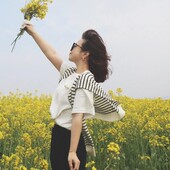 白色条纹针织打结外搭小披肩女韩版 饰假领子围巾春夏秋搭肩 百搭装