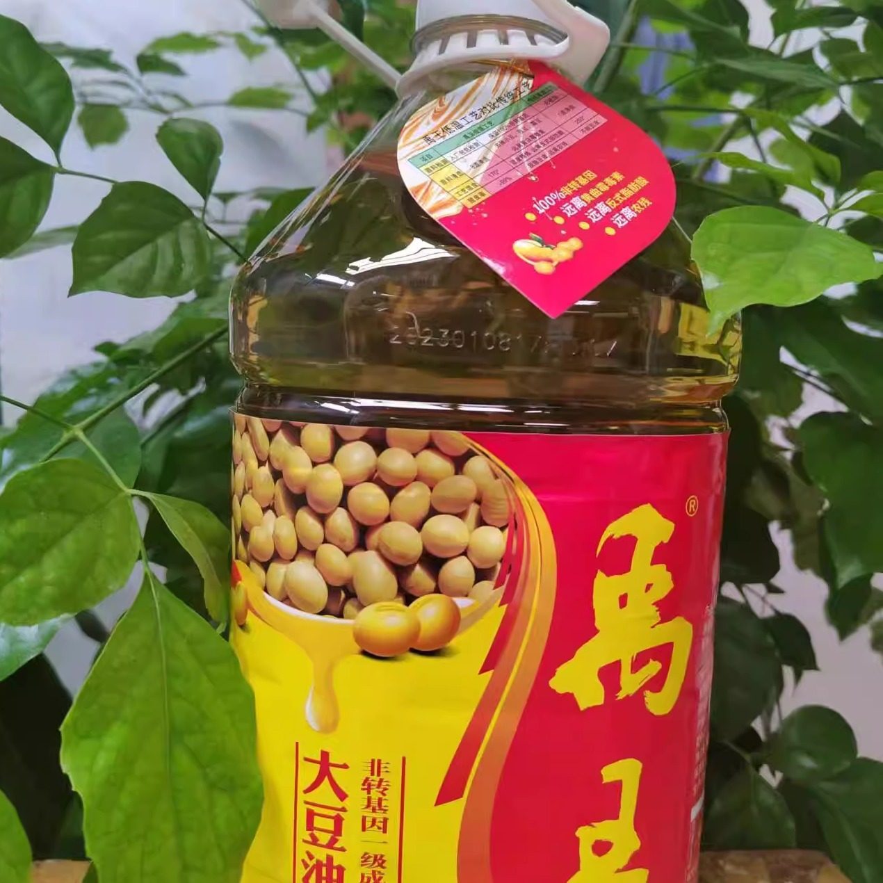 禹王集团大豆油非转基因豆油食用油食品油炸食品用油,粮油调味/速食/干货/烘焙,其它原料,淘宝优惠券,粉丝福利购,淘宝优惠卷