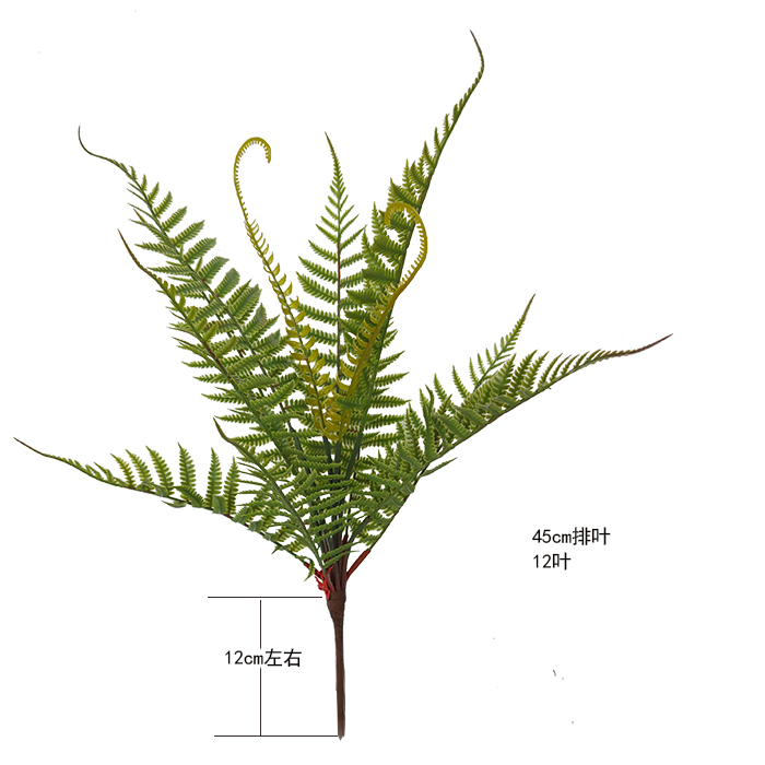 仿真盆栽万年青花假花海棠花荷花