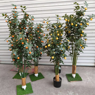 仿真绿植水果树假果树枝柠檬树橘子树金桔子树花装饰客厅摆件塑料