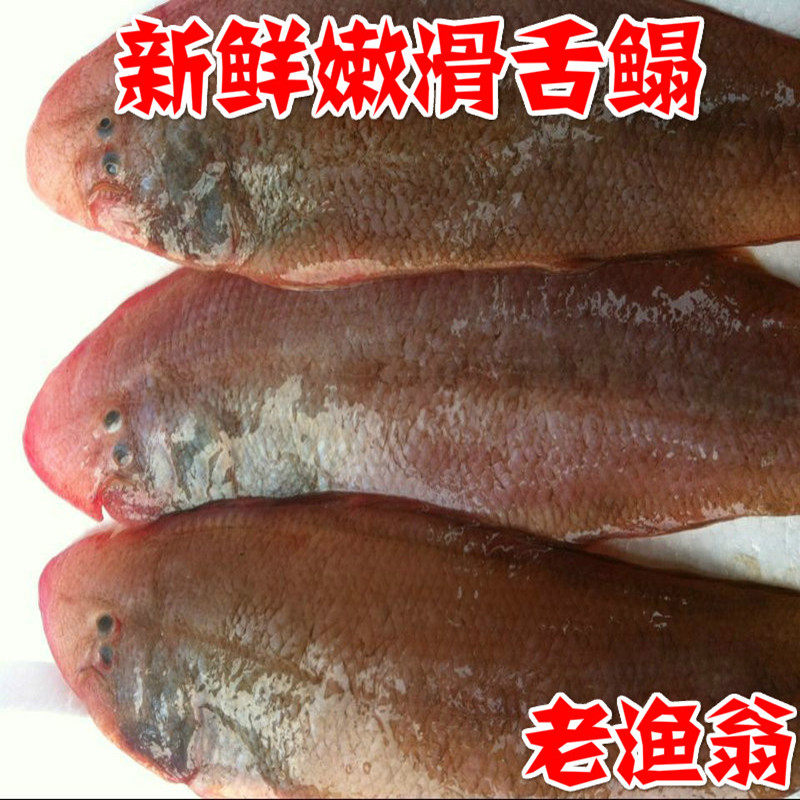 (舟山特产)新鲜海鲜 正宗新鲜舌鳎鱼/鲜活玉鳎  儿童适宜