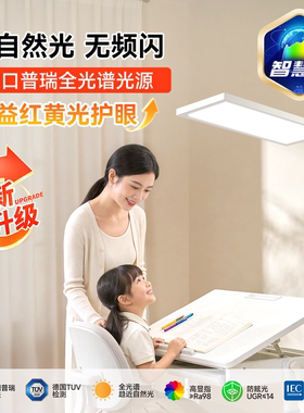 FSL佛山照明智慧光大路灯全光谱学习阅读专用儿童护眼台灯落地灯