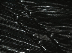 高档进口 时尚高雅黑色闪亮横条定型褶皱弹力时装料 上衣裙子礼服