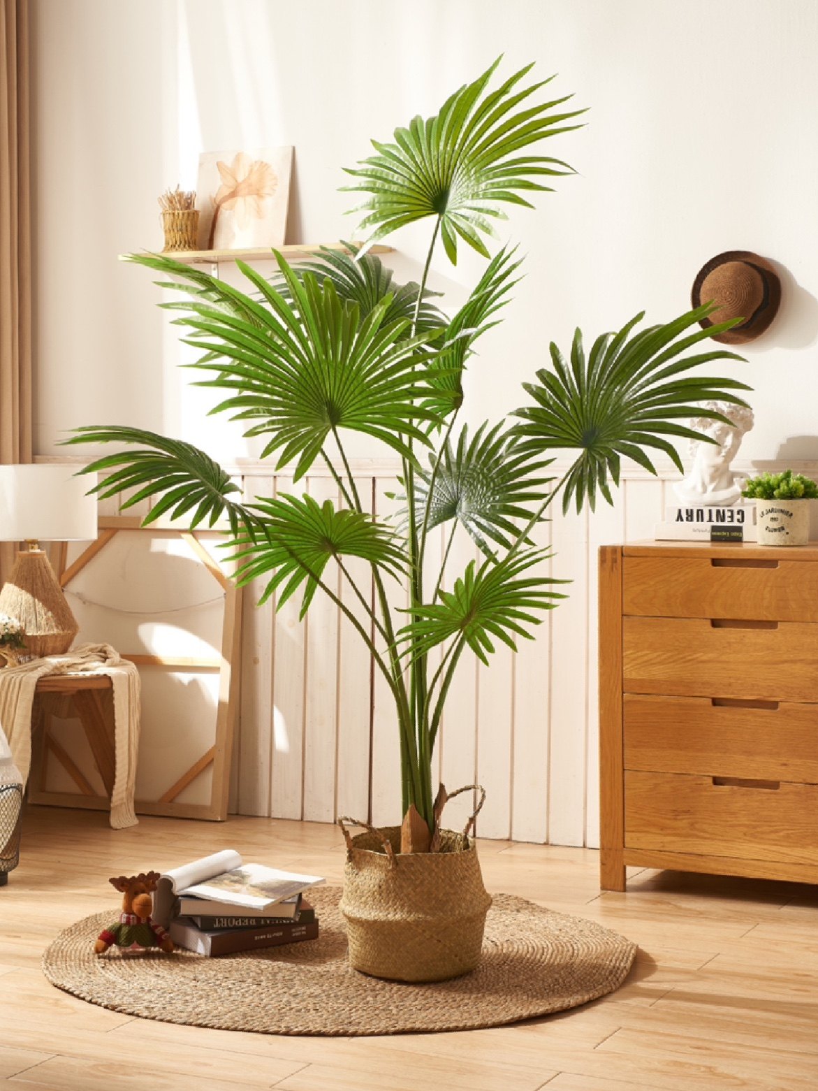 大叶蒲葵扇葵棕榈落地大型绿植盆栽室内客厅阳台庭院好养净化空气