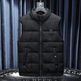 2025冬季新款高品质90%白鸭绒羽绒马甲6011-9956P285沙发，男装羽绒服，钱塘6011