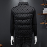 2022冬季新款90%高端羽绒马甲3021-29903P255假模黑色，男装羽绒服，钱塘6011