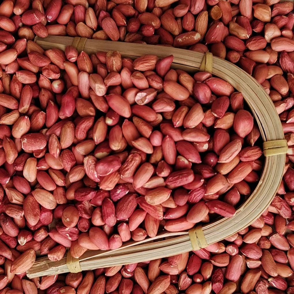 东北新货小四粒红花生米红皮花生无壳生红花生仁商用整袋批发鸽粮,宠物/宠物食品及用品,鸽粮,淘宝优惠券,粉丝福利购,淘宝优惠卷