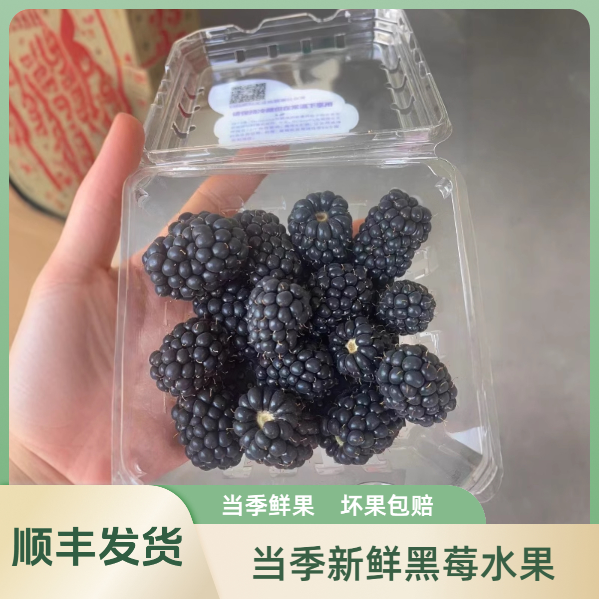 云南黑莓当季新鲜覆盆子水果黑树莓果桑葚250克起发顺丰