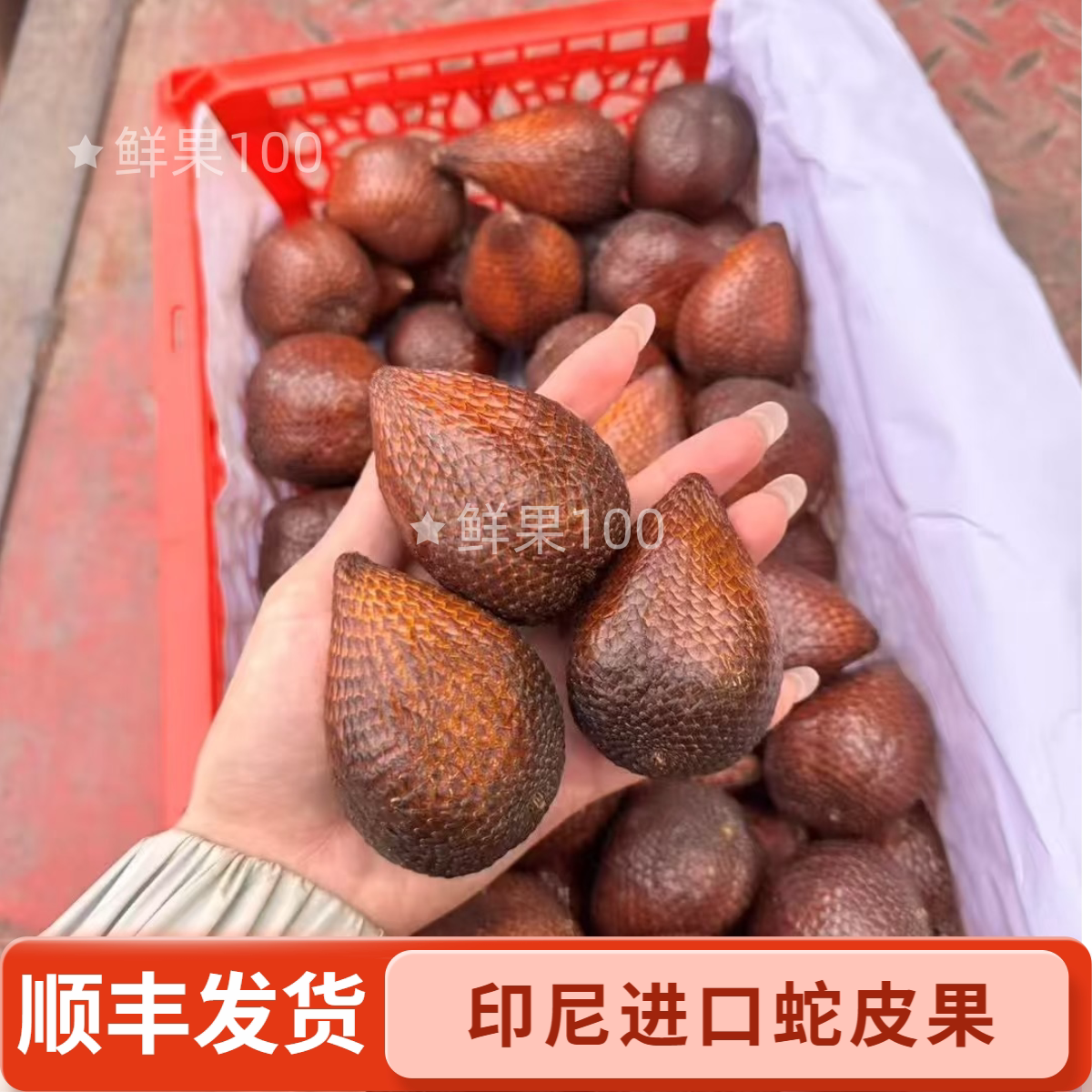 进口印尼蛇皮果鲜果当季新鲜热带其它