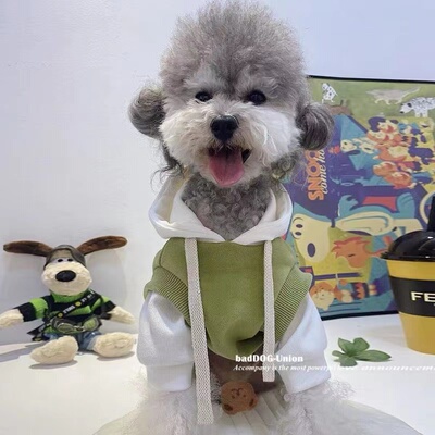 狗狗猫咪秋冬保暖拼接连帽衣服