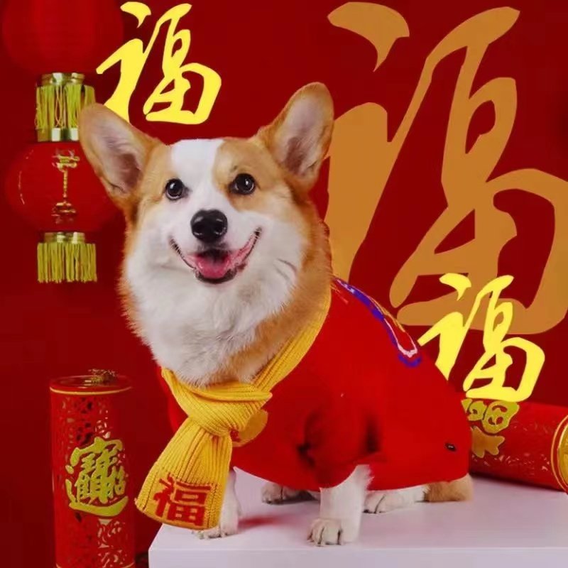 宠物狗狗衣服加绒卫衣冬款秋冬保暖喜庆新年泰迪柯基2022新款冬装,宠物/宠物食品及用品,狗宠物服装/雨衣,淘宝优惠券,粉丝福利购,淘宝优惠卷