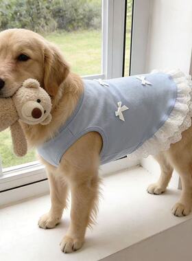 大型犬金毛拉布拉多宠物狗狗衣服春夏款浅蓝蝴蝶结蕾丝宠物背心裙