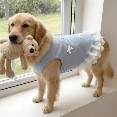大型犬金毛拉布拉多宠物狗狗衣服春夏款浅蓝蝴蝶结蕾丝宠物背心裙