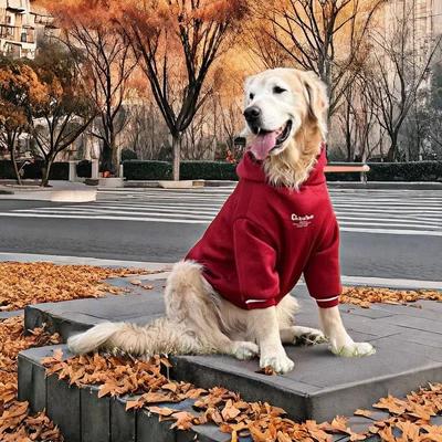 大型犬秋冬加绒卫衣宠物服饰