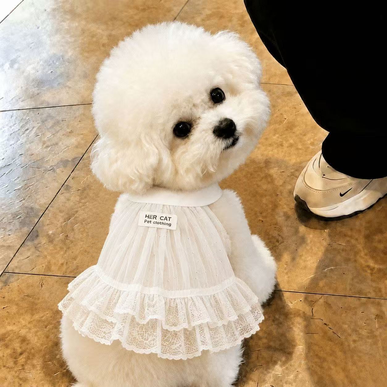 新品春夏款狗狗猫咪薄款蕾丝裙子泰迪博美贵宾比熊小型犬宠物衣服